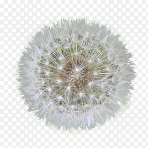 ʵ���ѹ�Ӣ-������