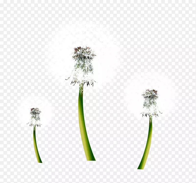 ��ͨ�ֻ��ѹ�Ӣ-������