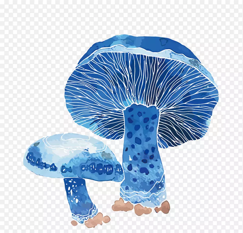 ʸ��Ģ��-������