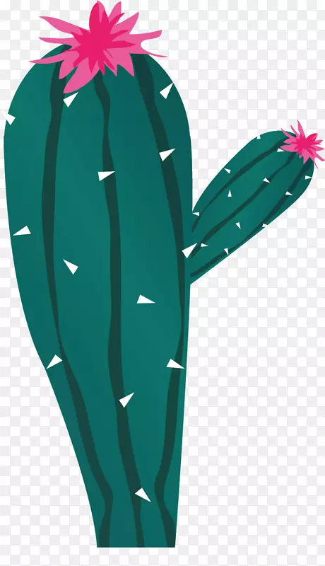 �ֻ�ֲ��-������