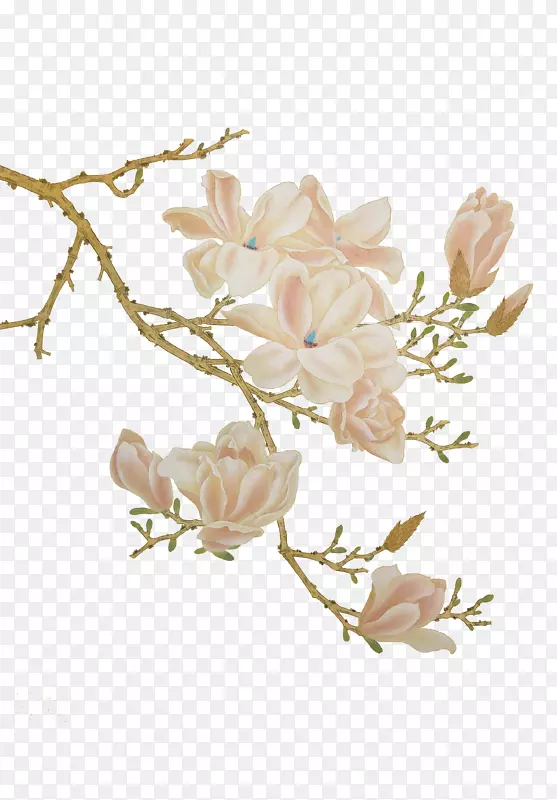 ��֦�ͻ�-������