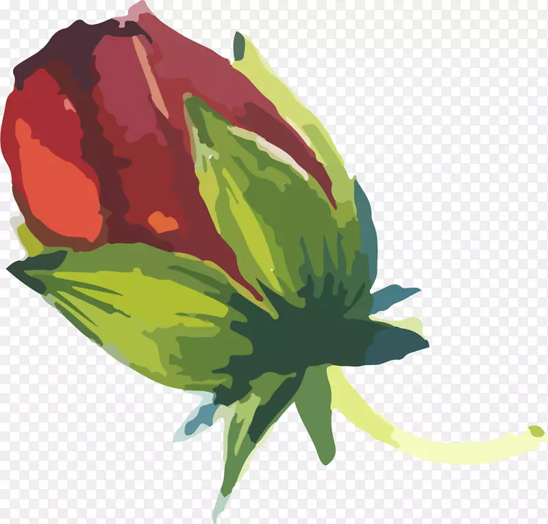 �ֻ�ˮ��õ�廨��-������