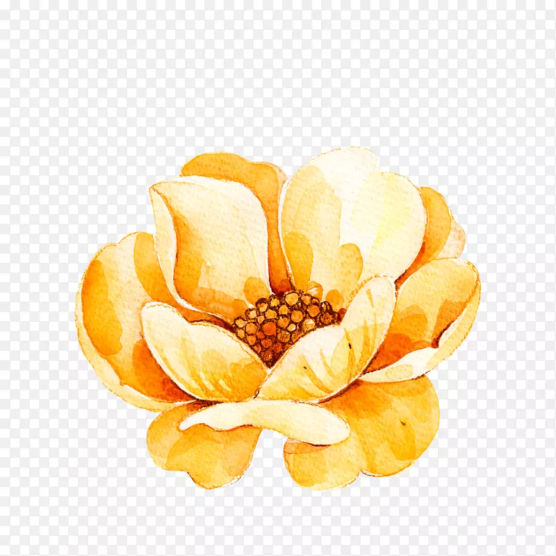 �ֻ�ˮ�ʻ�ɫ����-������