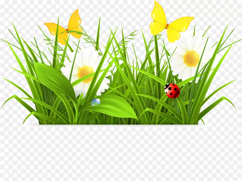 С������ɫ�ݴ�-������