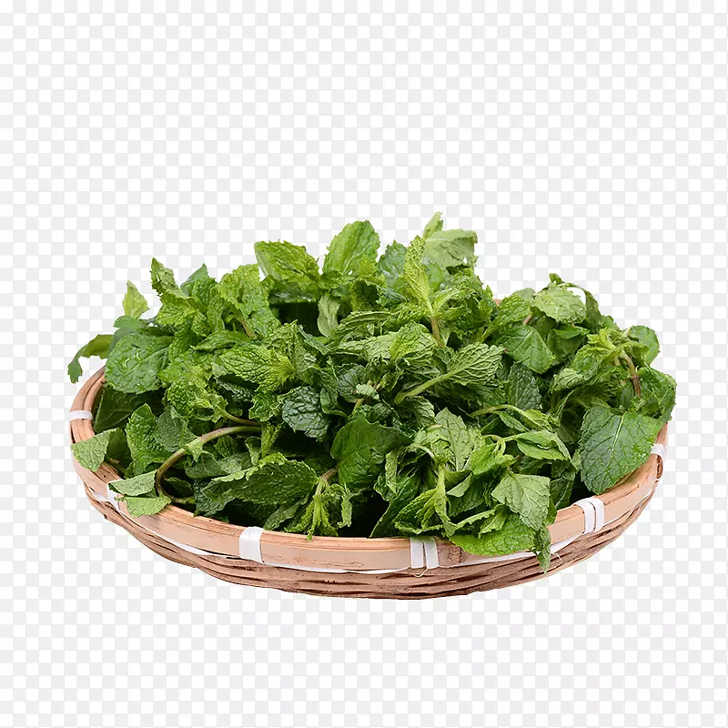 ��Ʒʵ�ﱡ��Ҷ-������