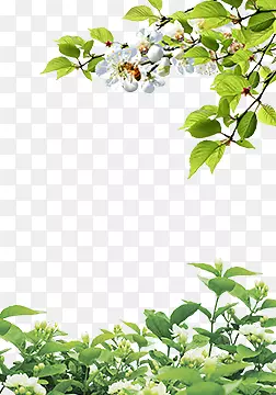 ��-������