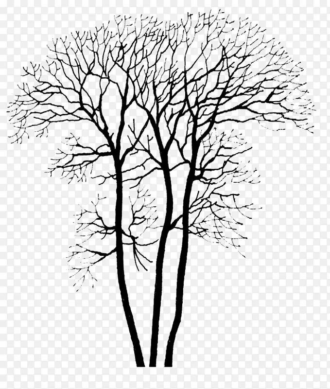 ��Ҷ����pngͼƬ-������