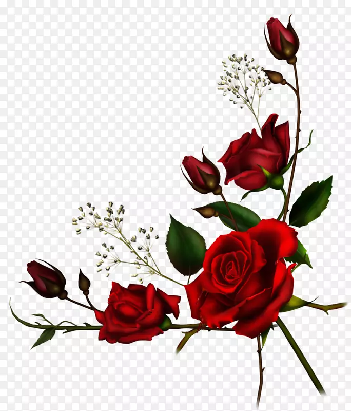 ��ɫõ�崺��-������