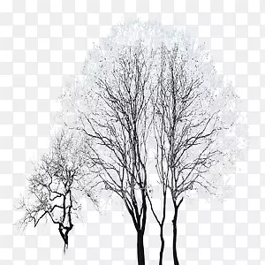 ��������ѩ��-������