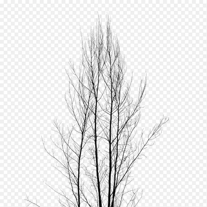 �����ɪ�����-������