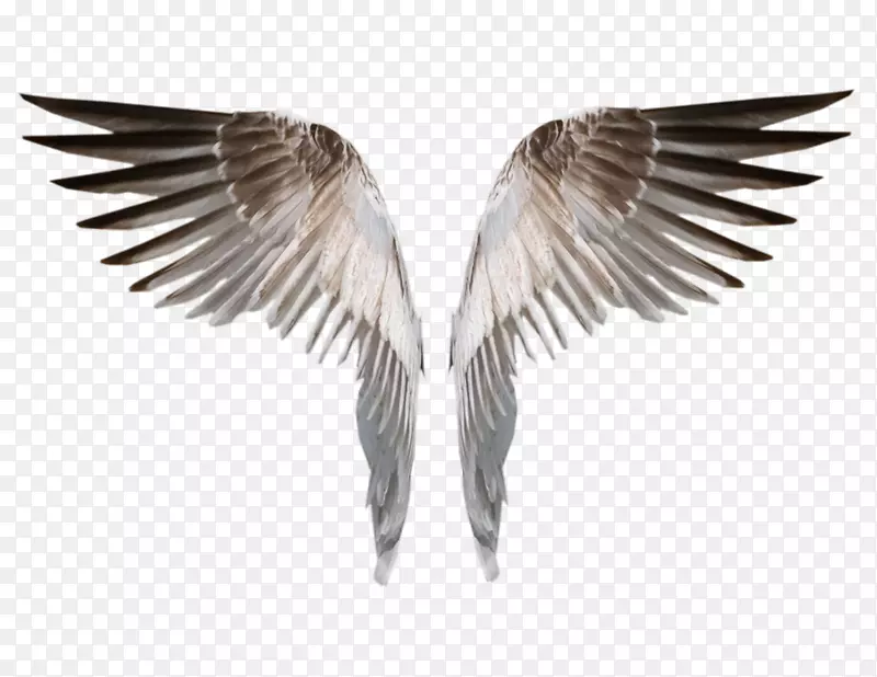 �滭������-���-������