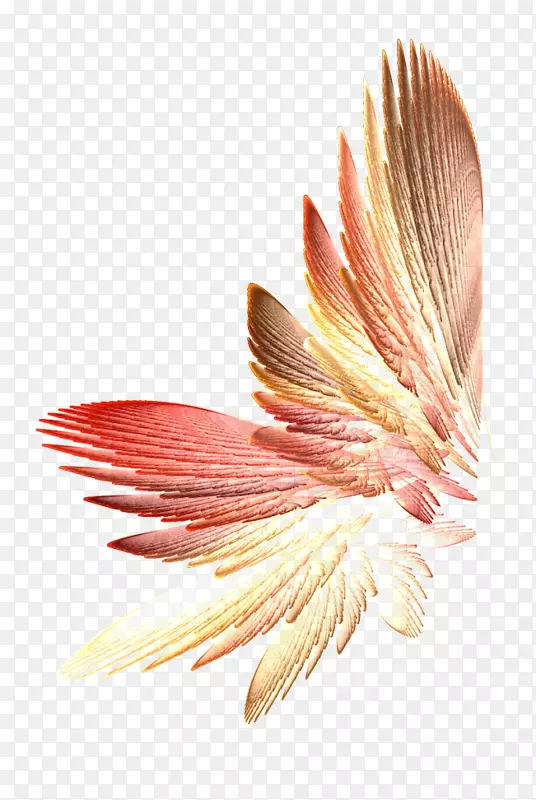 ������-���-������