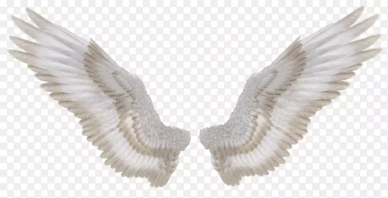 �����ֽ������Ӱ.���-������