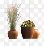 ������Ӱ�ϳ�Ч������-������