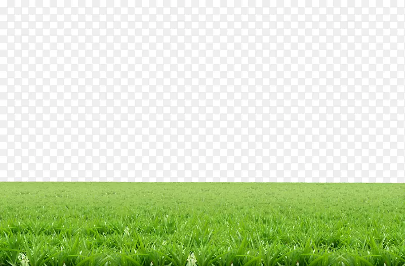 ��ƺ-������