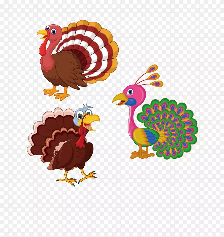 �ֻ濨ͨ��ȸʸ���ز�-������