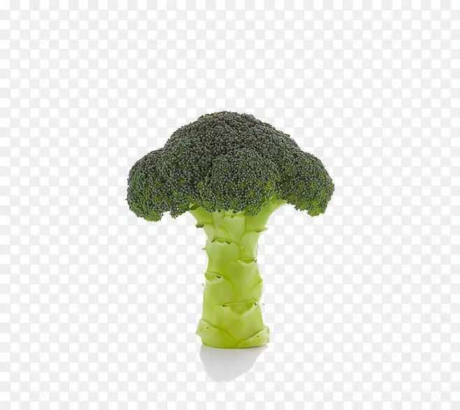 ����-������