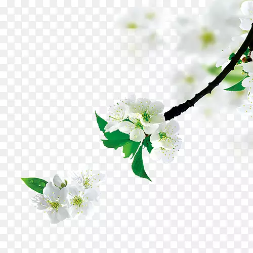 �滨��֦-������