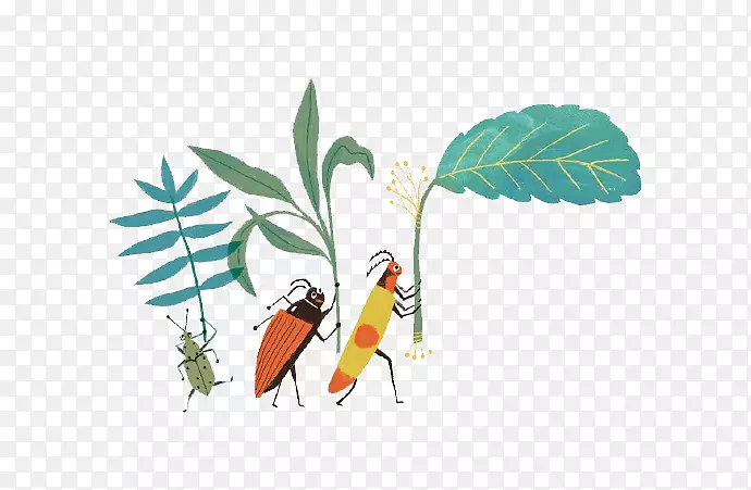 ����Ҷ�ӵ�����-������