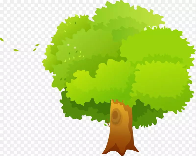 ��ͨ��ľ-������