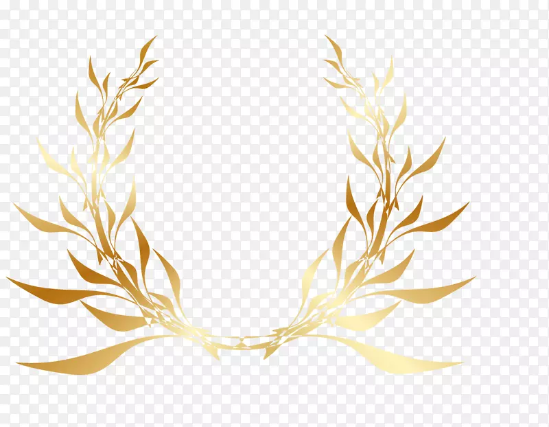 ��ɫ�Գ���Ҷͼ�����-������