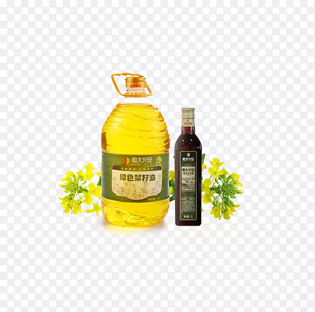 ����Ȼ����-������