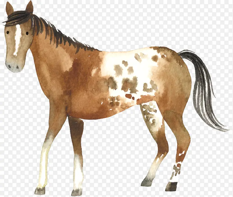 ��ͨ�ɰ�С����װ�ζ���ͷ��-������