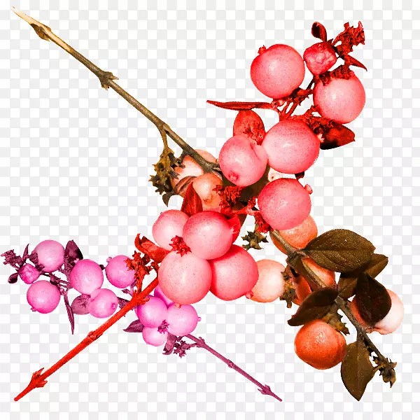 ʯ������ѹ�С��ʯ��ʵ��-������