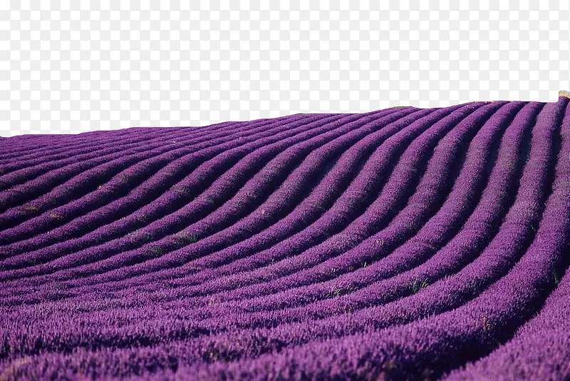 ׳��Ѭ�²�-������