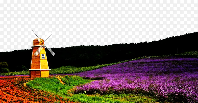 Ѭ�²�ׯ԰-������