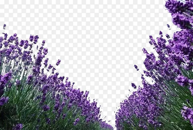 ׳��Ѭ�²�-������