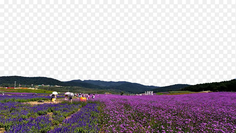 Ѭ�²�ׯ԰-������