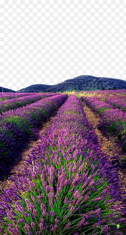 Ұ��Ѭ�²�-������