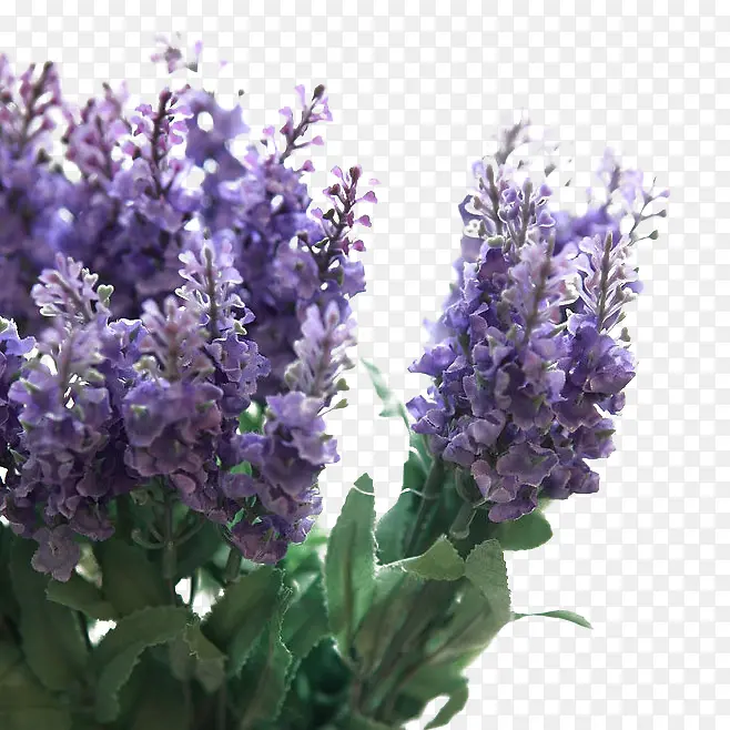 Ѭ�²�ͼ-������