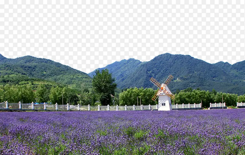 ����޹�²�ׯ԰-������