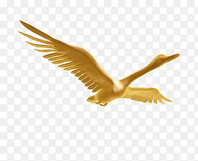 �������-������