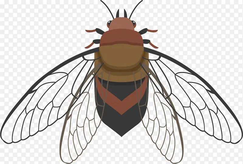 ������ɵ�дʵ����-������