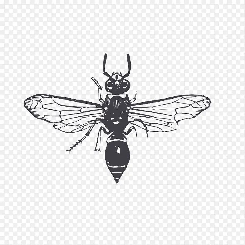 ��ɫ�ĳ�-������