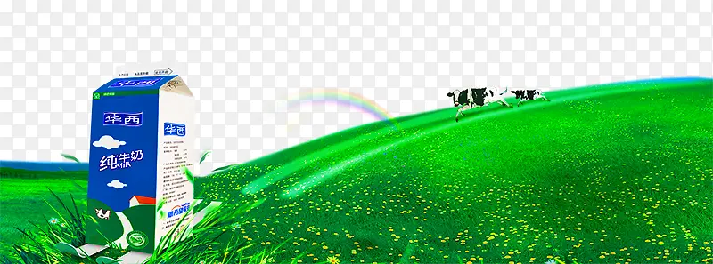 ��Ʒʵ�ﻪ����ţ��-������