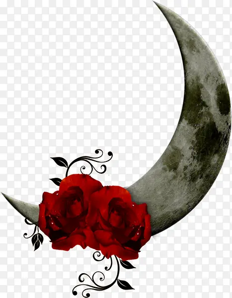 �����ϵİ���-������