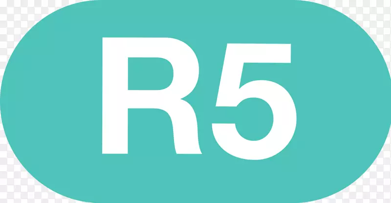 ����ֱ������ϵͳ-r-������