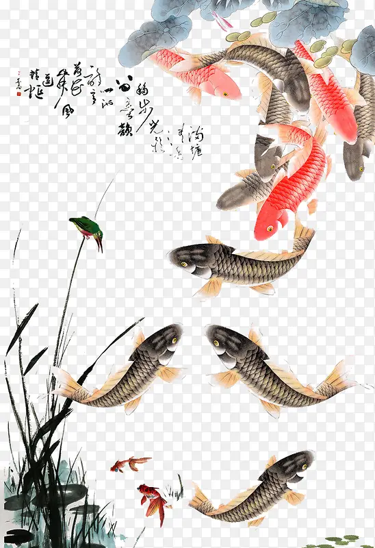 ��ɫˮī��-������