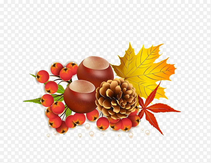 ����Ĺ�ʵ-������