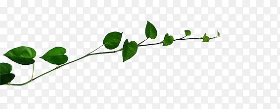 ��-������