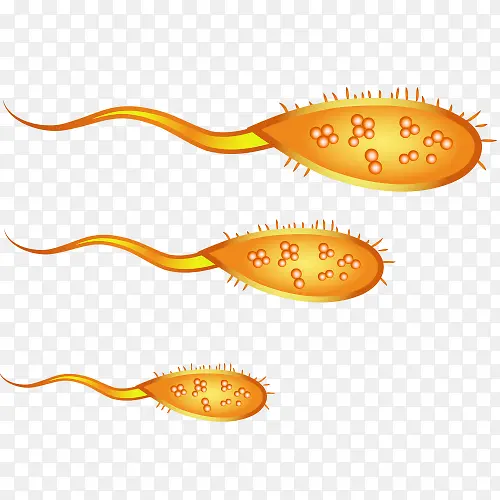 ���״��ϸ��-������