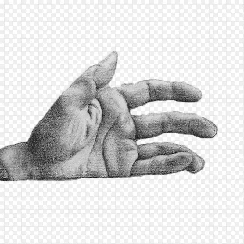 ������ָ-������