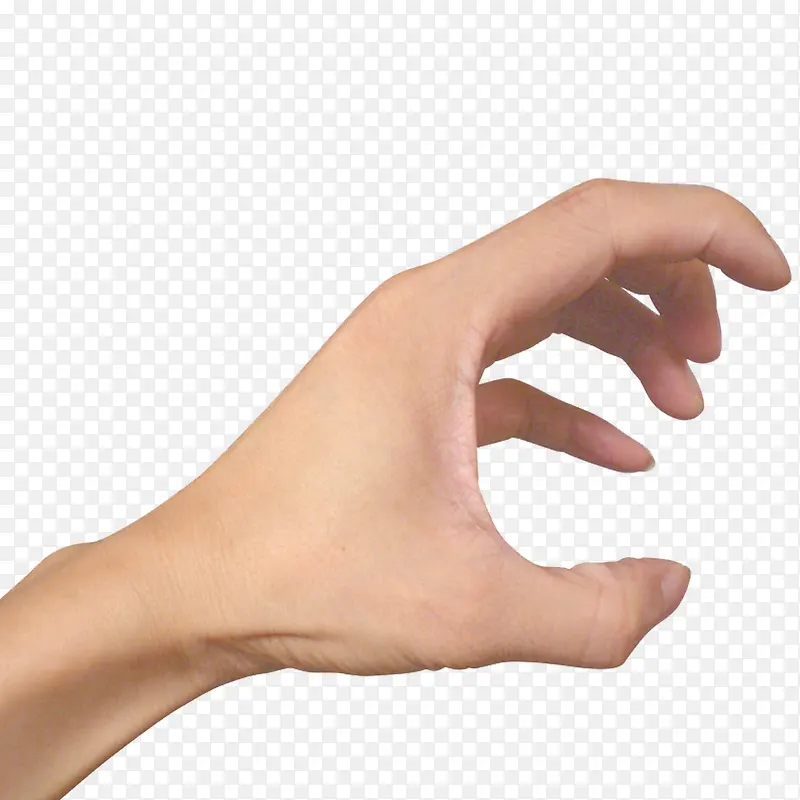 ������ָ-������