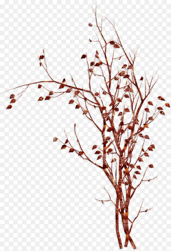 һҶ֪��-������