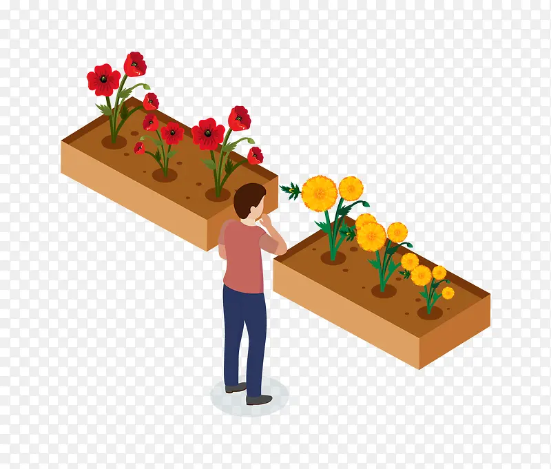 2.5D��԰����������廭-������