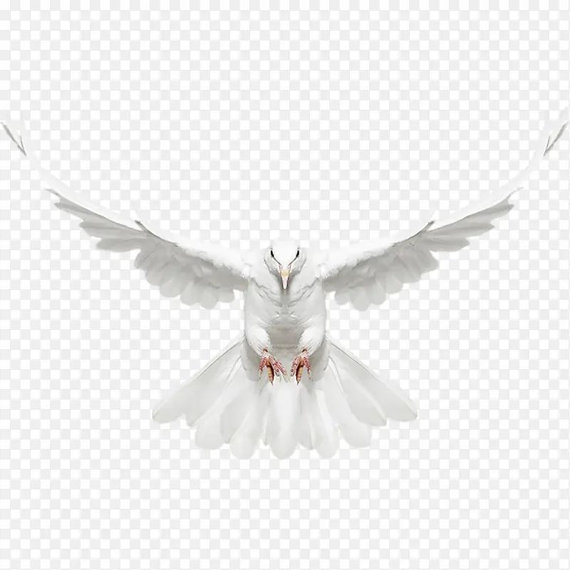 ���Ӹ��ӷ��ز�-������